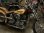 GoGreen_0142